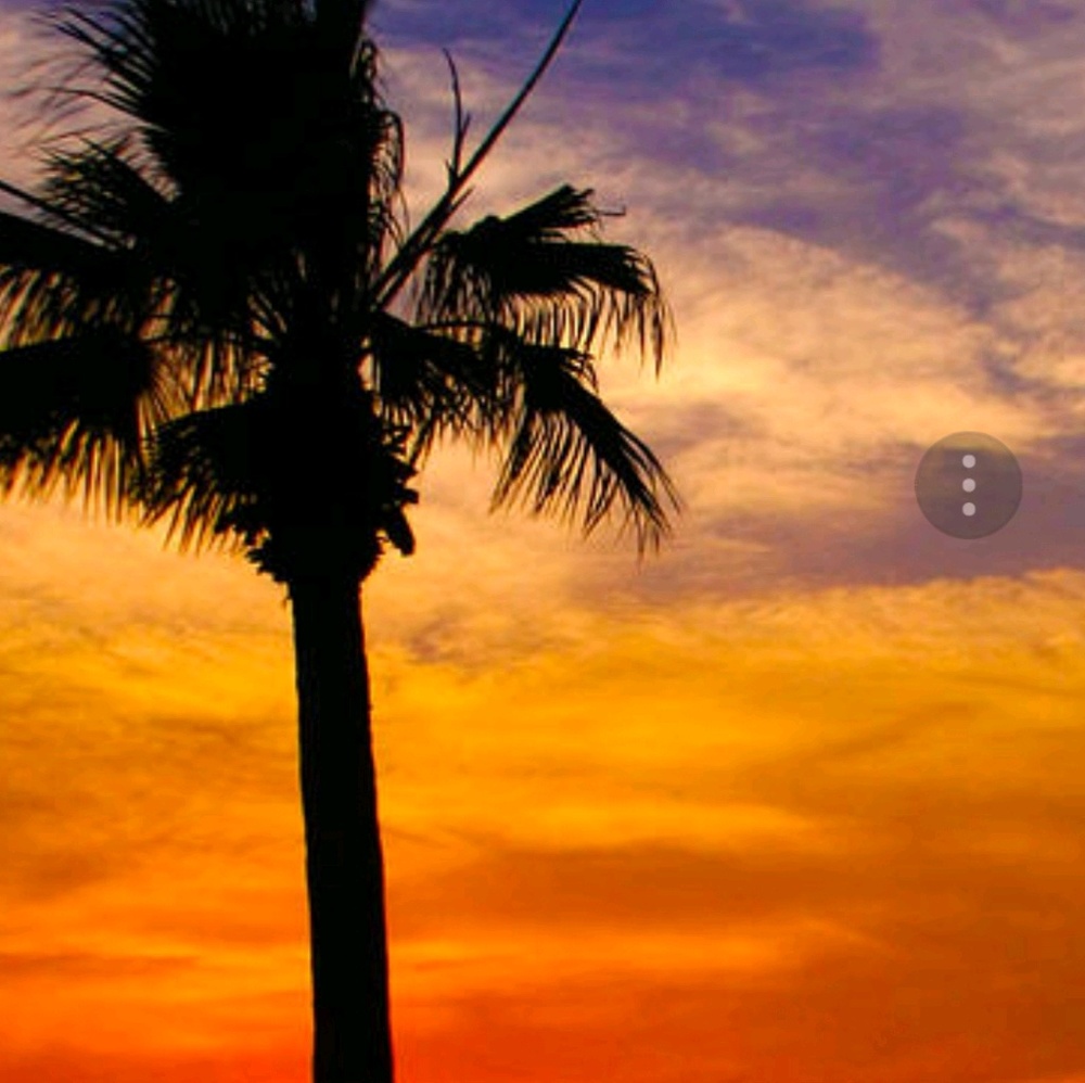 Meet your Posher, Toni